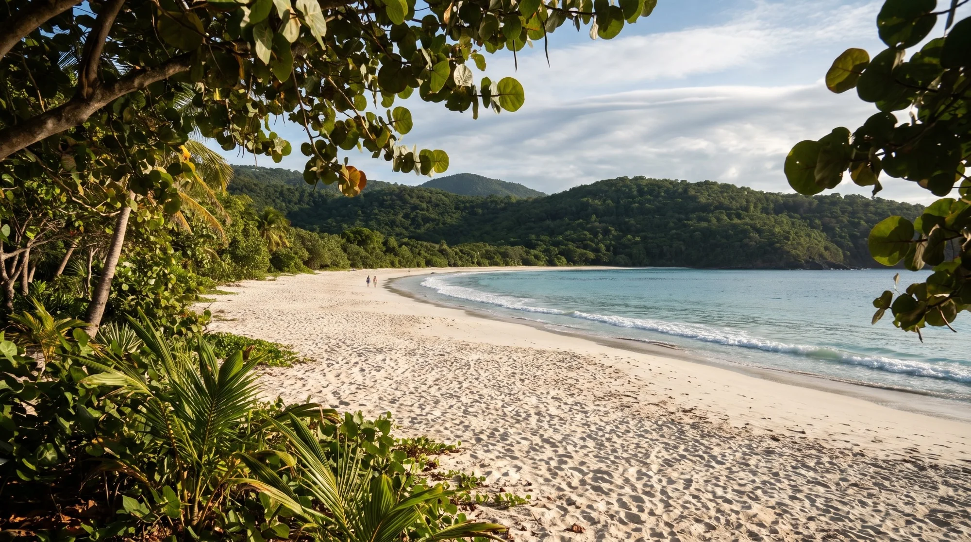 Snorkel, paddle, swim.