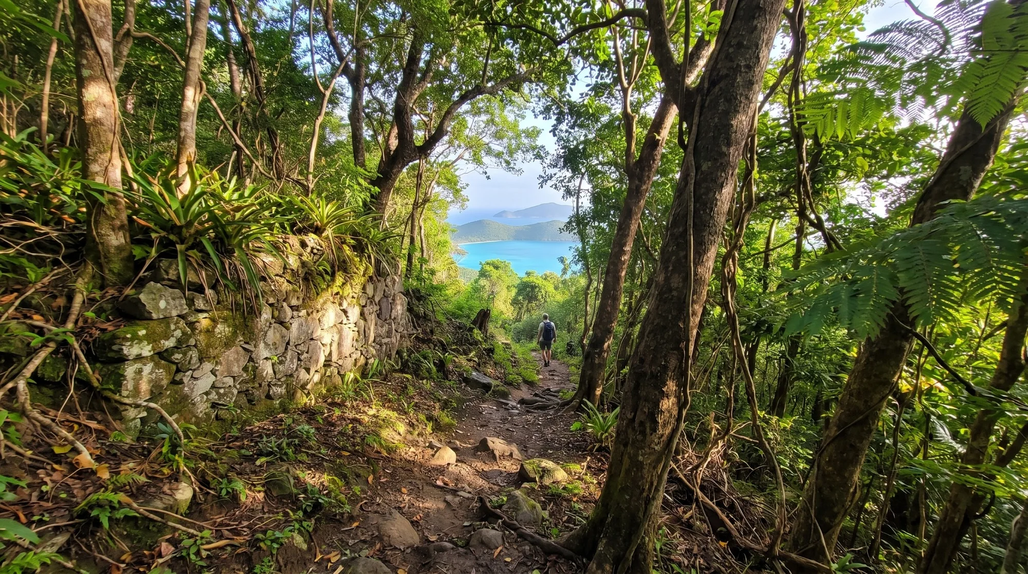 Walk into the island.
